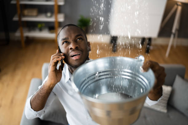 Best Ceiling water damage repair  in Robertsde, AL