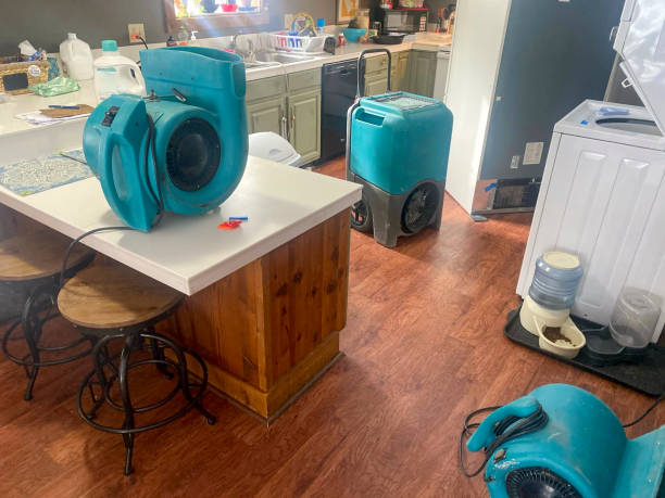 Best Flooded house restoration  in Robertsde, AL