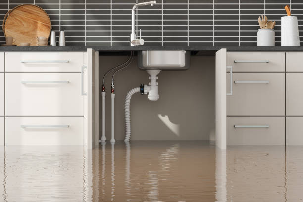 Best 24-hour water damage restoration  in Robertsde, AL