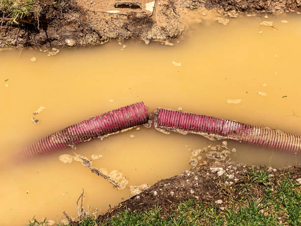 Reliable Robertsdale, AL Water damage restoration Solutions